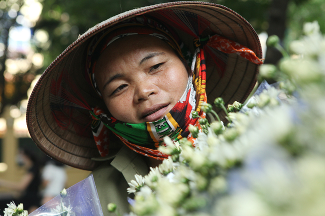 Mùa cúc họa mi ùa về trên phố,&nbsp;người bán tranh thủ bán, người mua cũng tranh thủ mua để kịp thưởng ngoạn cái mong manh, cái thuần khiết của&nbsp;loài hoa này.