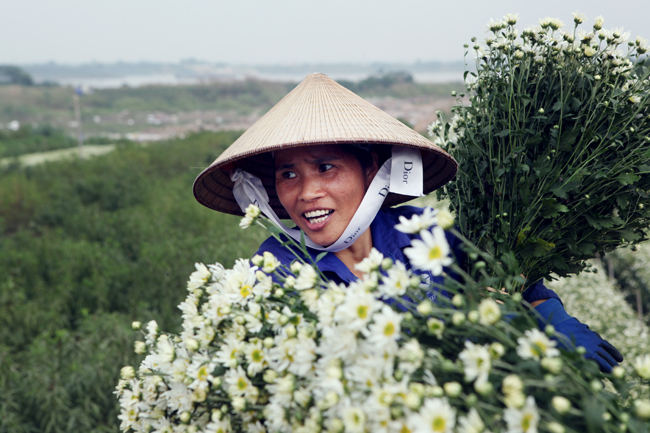 &#34;Năm nay giá hoa tăng hơn so với năm ngoái, một bó hoa lớn ước chừng khoảng 40 bó nhỏ, mỗi bó nhỏ đổ buôn cho các thường lái từ 40 – 50 nghìn đồng. Với khoảng gần 1ha, năm nay thu về gần trăm triệu”, chị Nguyệt cho biết thêm