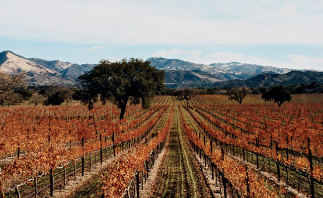 Vào mùa đông, những thị trấn ven biển tại vùng Santa Barbara thuộc bang California ở Mỹ, trở nên rất yên tĩnh và phù hợp cho các kỳ nghỉ. Ngoài phong cảnh đẹp và thanh bình, nơi đây cũng nổi tiếng với những món hải sản tươi ngon và rượu vang hảo hạng.