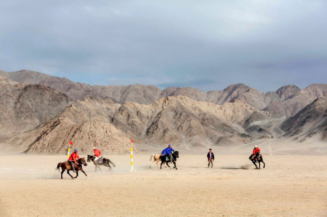 Một nhóm đàn ông chơi polo trên lưng ngựa với dãy núi Himalaya ở phía xa tại Ladakh, Ấn Độ. Ảnh: Arnaud Robin