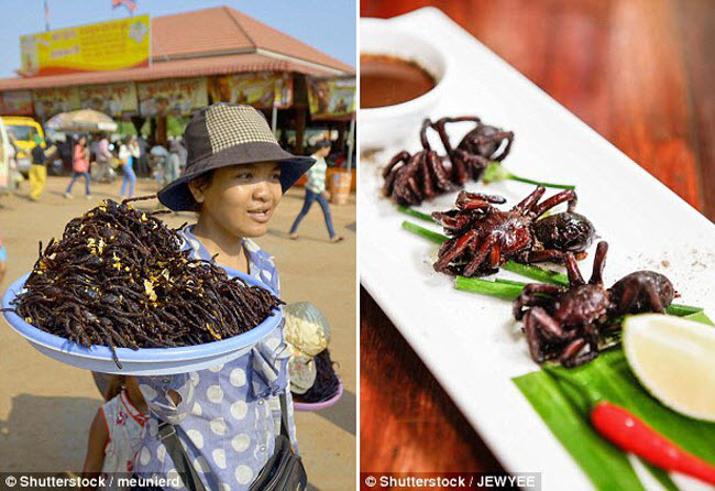 Nhện đen Tarantula được coi là loài vật đáng sợ tại nhiều nước phương Tây, nhưng chúng là món ăn hấp dẫn ở&nbsp;Campuchia.