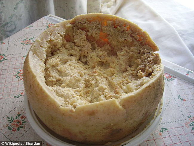 Món Casu Marzu hay phó mát là đặc sản ở Italia, được chế biến bằng cách để ruồi đẻ&nbsp;trứng lên bánh&nbsp;trong vài ngày. Sau khi ấu trùng ruồi ăn bớt lượng chất béo, bánh trở nên xốp hơn.