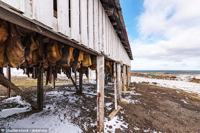 Harkarl là món thịt cá mập được lên men ở ngoài trời, được người dân Iceland rất ưa&nbsp;chuộng.