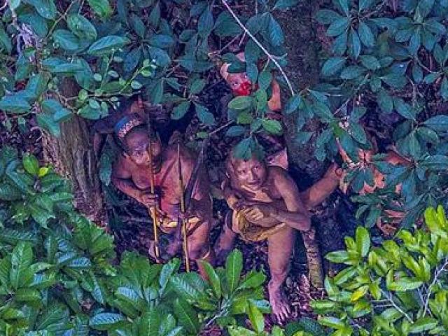 Lạc đường, phát hiện bộ lạc nguyên thủy ở rừng Amazon