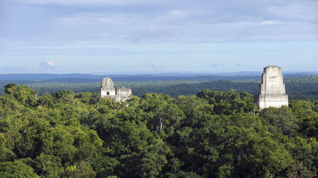 Những ngôi đền cổ hàng nghìn năm của người Maya trong vườn quốc gia Tikal ở Guatemala là nơi diễn ra cuộc chiến giữa các phe phái trong phần “Niềm hy vọng mới”.