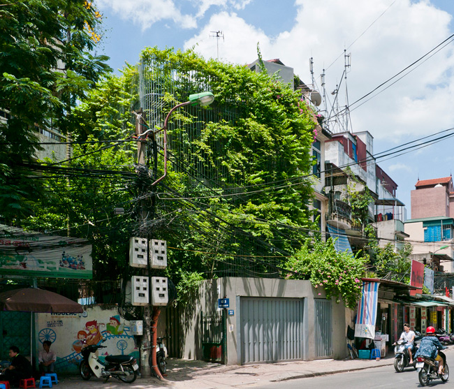 Để hạn chế sự ảnh hưởng của khói bụi, kiến trúc sư đã dựng lên một khung thép mạ kẽm với lướt mắt cáo bao trùm, tất cả bọc quanh phần mặt tiền vuông góc để trồng các loại cây thân leo.