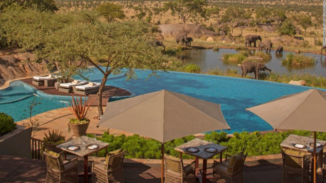 Four Seasons Safari Lodge Serengeti, Tanzania: Tại đây, du khách có thể vừa thư giãn trong bể bơi vừa ngắm voi hoang dã uống nước ngay bên cạnh.