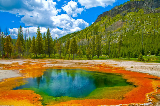 Vườn quốc gia Yellowstone, Mỹ: Khu bảo tồn thiên nhiên này có diện tích 9.000 km2, nằm chủ yếu tại bang Wyoming và một phần ở bang Montana và Idaho. Vườn quốc gia Yellowstone chiếm 1/2 các loại địa nhiệt trên thế giới.