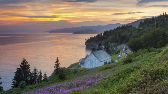 Bán đảo Gaspe ở Québec, Canada, nổi tiếng với rừng thông, vách núi và 14 ngọn hải đăng.