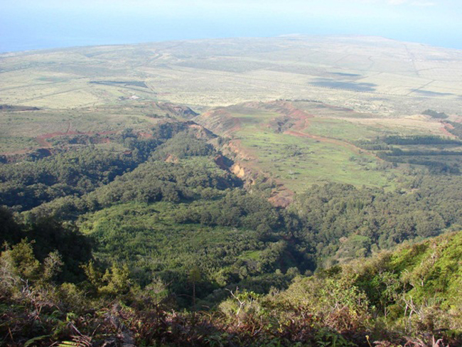 Khu vực Munro Trail, điểm cao nhất của Lanai với độ cao hơn 1.000m. Từ đây, du khách có thể ngắm nhìn khung cảnh tuyệt đẹp của hẻm núi Maui, Mokolai, Big Island và Oahu.