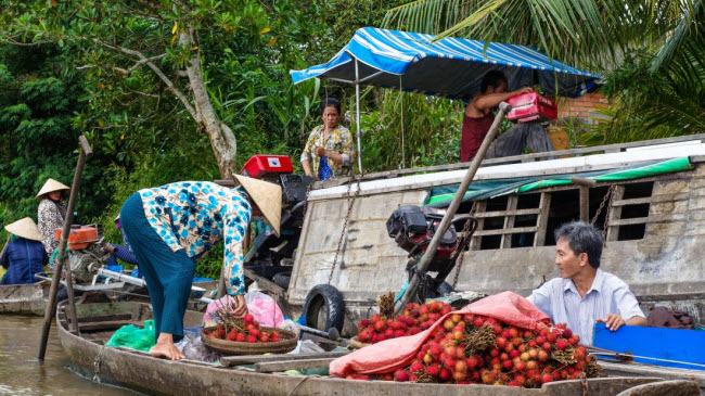 Cần Thơ, thành phố lớn nhất ở vùng Đồng bằng sông Cửu Long, nổi tiếng với các chợ nổi. Người dân bán các loại thực phẩm tươi sống, thịt, cá trên thuyền của họ.