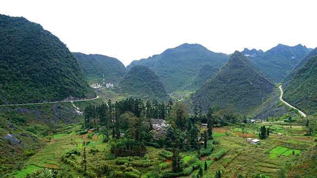 Khu Dinh thự họ Vương tọa lạc dưới thung lũng Sà Phìn, huyện Đồng Văn, Hà Giang. Khu dinh thự được bao quanh bởi những núi đá vôi và che khuất trong những hàng cây sa mộc.