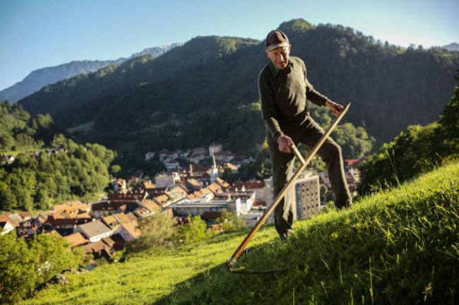 Người đàn ông làm việc lúc hoàng hôn trên núi Veliki Vrh ở Slovenia, giáp biên giới với Áo.