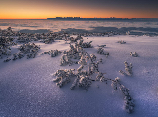 Tuyết phủ kín đỉnh Babia Góra thuộc dãy núi Beskydy, với dãy núi Tatras ở phía xa.