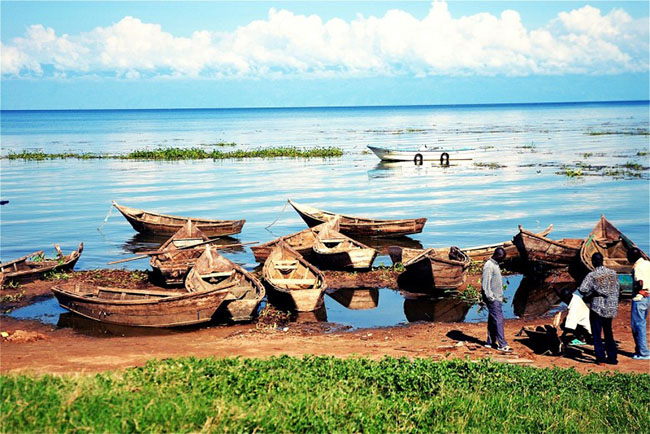 Hồ Victoria, Uganda: Hồ Victoria là hồ lớn nhất châu Phi và là một trong những hồ nước ngọt lớn nhất trên thế giới. Hồ cung cấp những bãi cát trắng chạy dài, những khu rừng xanh xum xuê và mặt nước trong veo với rất nhiều sinh vật đa dạng dưới nước.