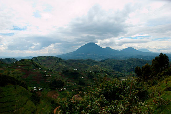 Dãy núi Virunga ở Uganda: Uganda là một địa điểm thiên nhiên&nbsp; tuyệt vời mang vẻ đẹp đặc trưng với hệ động vật hoang dã, đồi núi và cảnh quan hùng vĩ. Dãy núi Virunga ở Uganda nằm ở Kisoro và bao gồm dãy núi Sabinyo, Mhaginga và Muhabura.