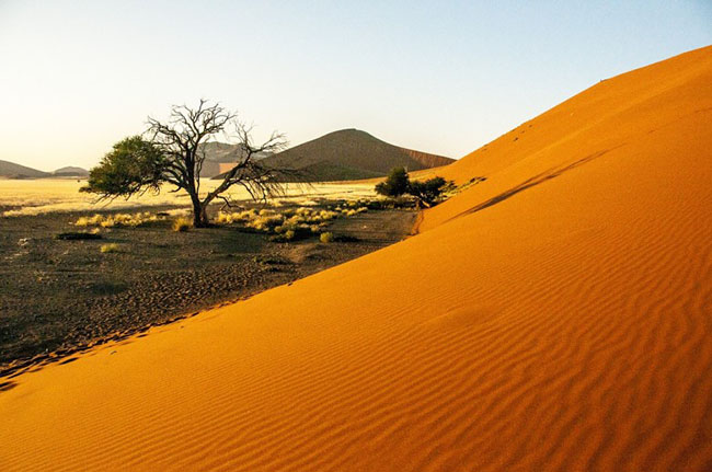 Sa mạc Namib, Namibia: Sa mạc Namib là sa mạc lâu đời và lớn nhất trên thế giới và có cảnh quan tuyệt đẹp. Độ tuổi của nó ước tính khoảng 55 triệu năm. Sa mạc được coi là sa mạc đẹp nhất trên thế giới với cát màu đỏ và vàng tạo thành những cồn cát khổng lồ. Đây là nơi bạn sẽ tìm thấy các cồn cát cao nhất thế giới, cao tới 325m.