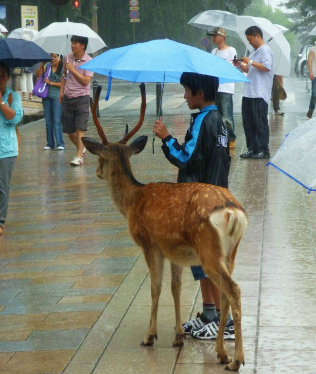 Đứng sát vào đây anh che cho không ướt nào.