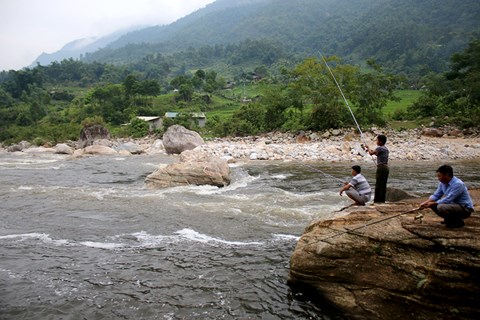 Săn tìm loài cá quý hiếm như vàng dưới chân núi Hoàng Liên - 2