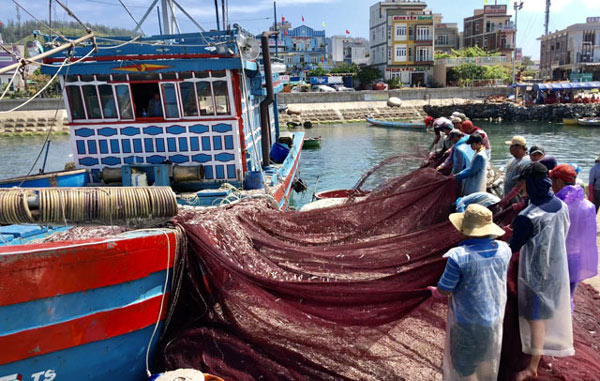 Những “thợ săn” tiền ở vùng biển: Thu về hàng trăm triệu trong 1-2h - 3