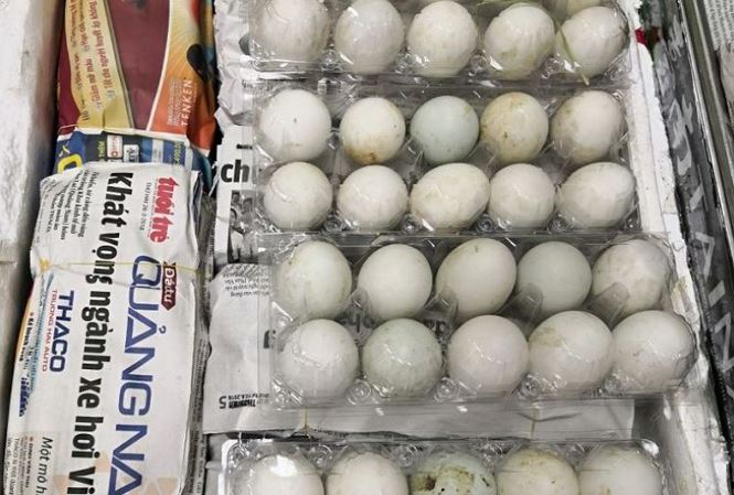 Bị phạt 7.000 đô vì mang trái phép 500 quả trứng vịt lộn vào Singapore - 1