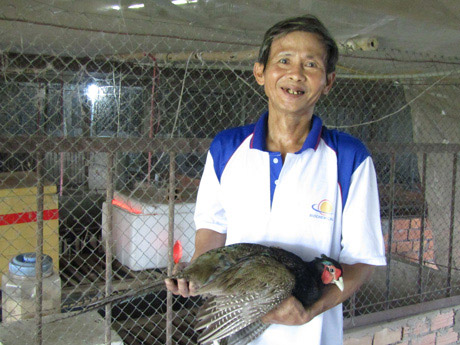 Thầy giáo nghèo đổi đời nhờ nuôi chim quý hiếm như nuôi gà - 1