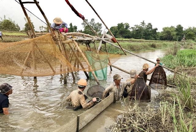 Quảng Ngãi: Tấp nập chợ cá đồng đầu mùa lũ bên cầu Trà Khúc - 3