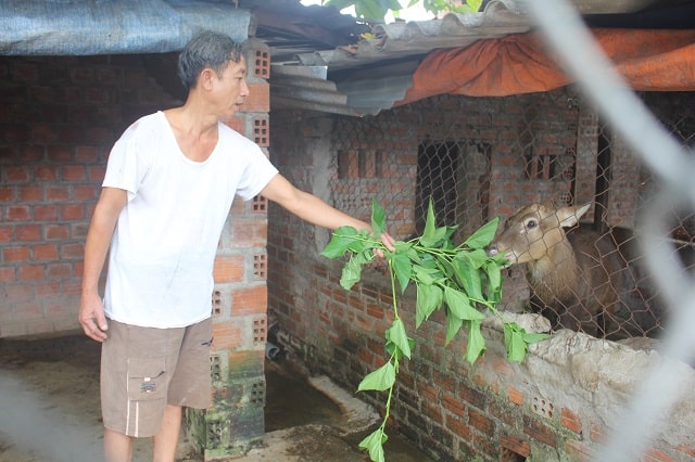 Trồng dâu nuôi con &#34;nhát như cáy&#34;, 10 con 500 triệu còn chưa bán - 2