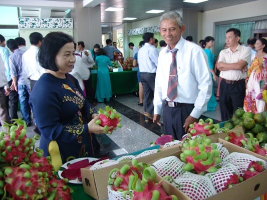 Trung Quốc ngừng &#34;ăn&#34; hàng, thanh long sạch vẫn bán được 25.000đ/kg - 1