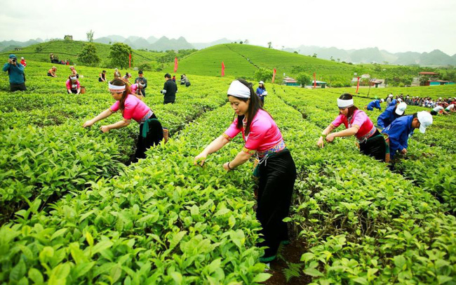 Chỉ đạt vỏn vẹn 1/7 chỉ tiêu lãi năm, &#34;tướng&#34; ngoại vẫn &#34;tất tay&#34; thoái toàn bộ vốn - 1