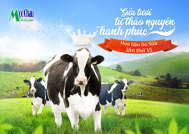 Chờ đón nàng &#34;Hậu&#34; bò tương lai của Hội thi Hoa Hậu Bò Sữa 2018 - 1