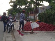 Thị trường - Tiêu dùng - Nghịch lý trái cây: &quot;Nội&quot; giải cứu, &quot;ngoại&quot; xếp hàng chờ mua