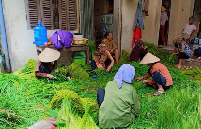 Sau khi đem những bó lúa về nhà, mọi người tập trung sơ chế tuốt lấy hạt thóc. Trung bình 100kg hạt thóc nhặt ra được 18 - 25kg cốm. 

Hiện nay, nhiều nhà đồng thời dùng máy tuốt, máy xay để thuận tiện cho việc làm sạch hạt thóc và tăng năng suất.