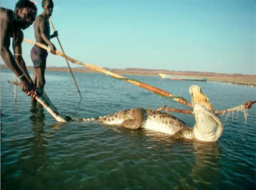 Bí ẩn bộ tộc chuyên bắt cá sấu, hà mã... để ăn - 1