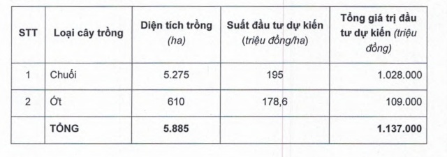 Bầu Đức “bỏ” trời Âu, quyết tăng đất trồng chuối - 2