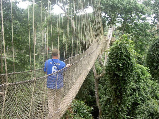 Canopy Walk, Ghana: Với độ cao 39.62400m, Canopy Walk ở Ghana cung cấp một điểm thuận lợi cho những người đi rừng. Những cây cầu dài này được nối từ cây này sang cây khác bằng dây thừng và ván.