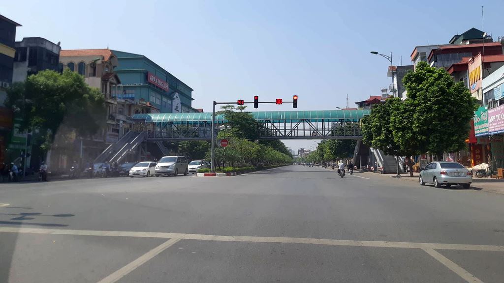 Các tuyến đường ở Hà Nội: “Đốt” tiền tỷ vì cây xanh bị tráo, chết gần 3/4 - 1