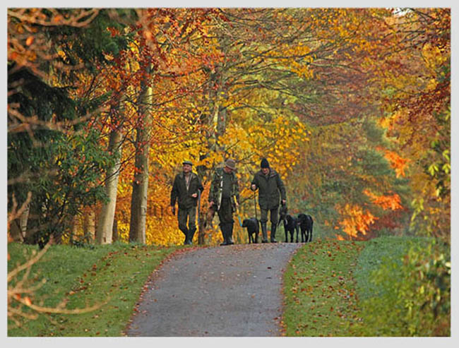 Một ngày mùa thu bình thường cho người dân Goldenloch, Scotland.