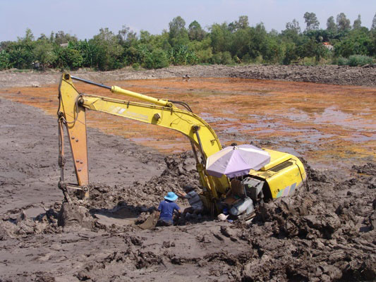 Giá cá tra giống &#34;lên đỉnh&#34;, nông dân ồ ạt đào ao - 1