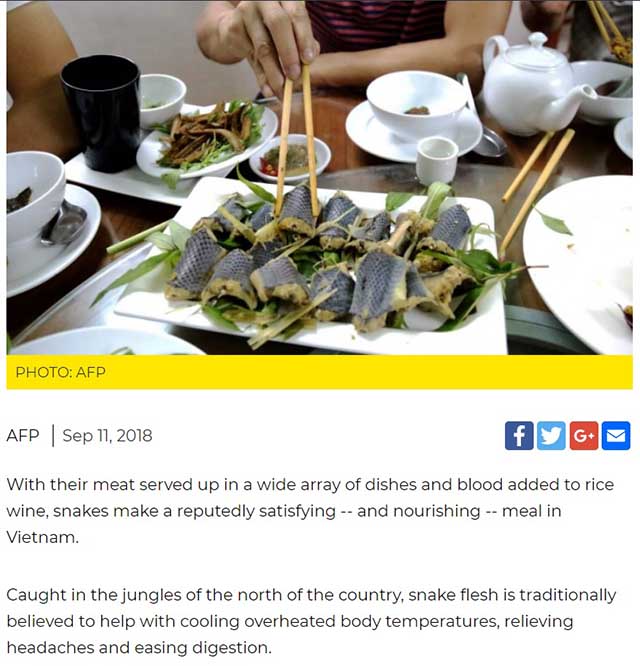 Thịt rắn của Việt Nam nổi tiếng trên báo nước ngoài - 1