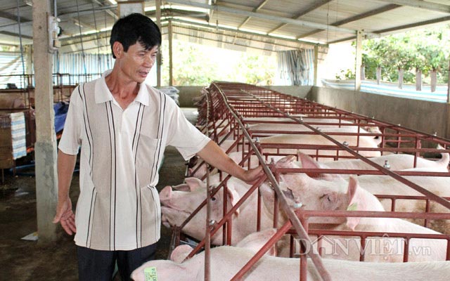 Cục Chăn nuôi: Phải giảm giá lợn hơi, dù nhiều người không đồng ý - 1