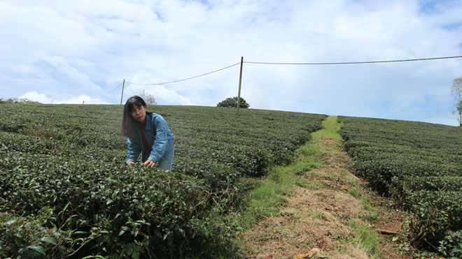 Kinh nghiệm “quét sạch”  Bảo Lộc đẹp thần sầu chỉ trong một ngày - 22