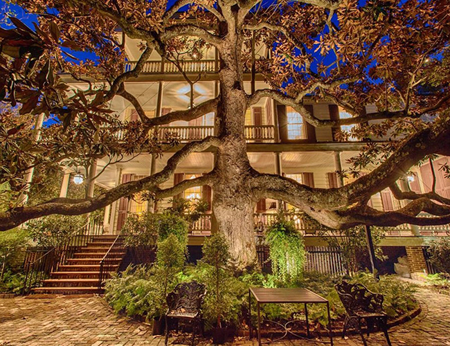 The Sword Gate House là một trong những biệt thự lâu đời nhất và đắt nhất ở Charleston, Nam Carolina, Mỹ với một mức giá khổng lồ 16 triệu USD, tương đương hơn 350 tỷ VND