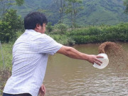 Thị trường - Tiêu dùng - Đào ao thả cá giữa thung lũng hoang vắng, lãi hơn 300 triệu/năm