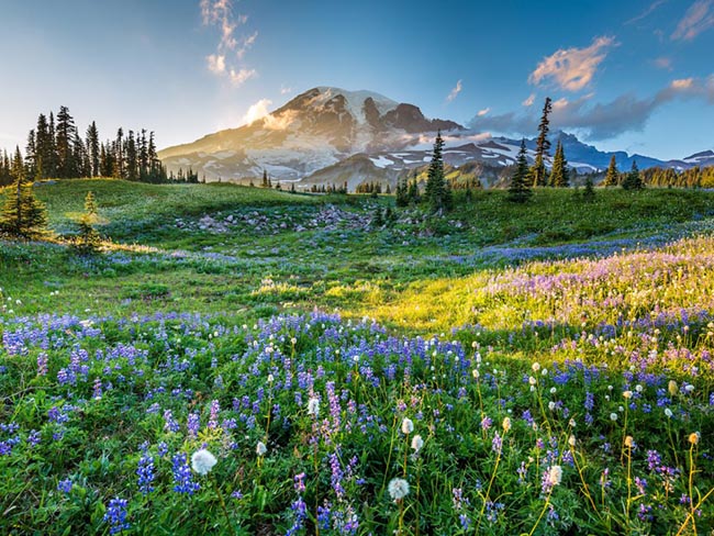 Núi Rainier, Washington: Núi Rainier không chỉ là một ngọn núi lửa đang hoạt động mà còn có tổng cộng sáu con sông. Đỉnh núi luôn được bao phủ tuyết quanh năm.