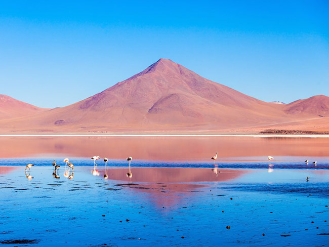Andes, Bolivian Altiplano: Nằm trên cao nguyên altiplano của Bolivia, là dãy Andes hùng vĩ, phía trước nó là Laguna Colorado, một hồ nước màu đỏ. Vùng nước mặn thu hút các loài hồng hạc Andean, loài chim hồng hạc hiếm nhất trên thế giới.