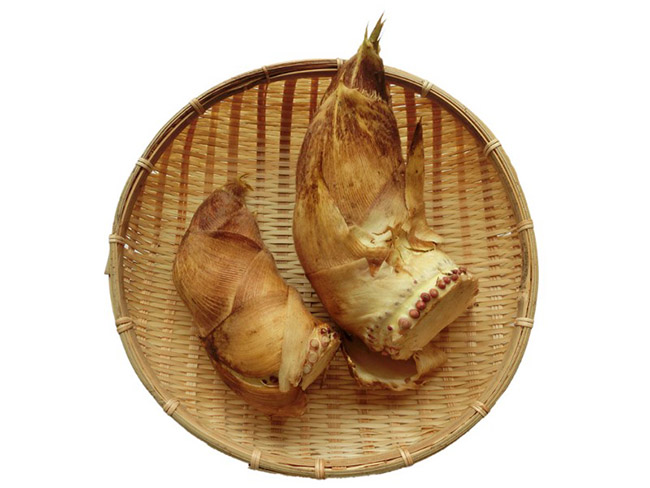 Takenoko:Măng tre được ăn rất phổ biến ở các nước châu Á.