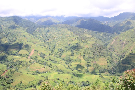 Vàng rực, kỳ vĩ những thửa ruộng bậc thang cao 2.000m ở Bắc Yên - 8