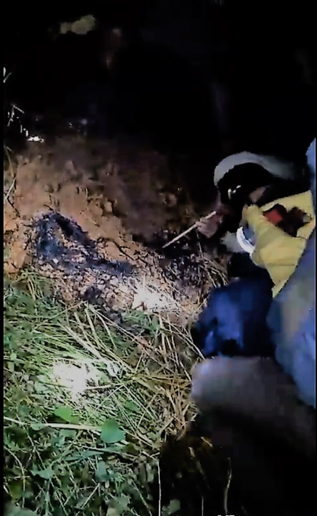 Đi săn loài ong “tử thần” vùng sơn cước, kiếm nửa triệu/kg - 3