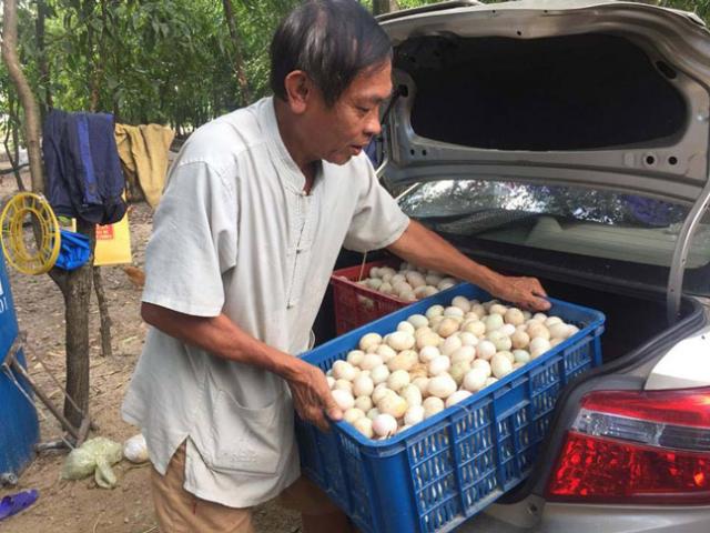 Đưa con sống dưới nước lên cát ở, “lão khùng” có ngay tiền triệu/ngày